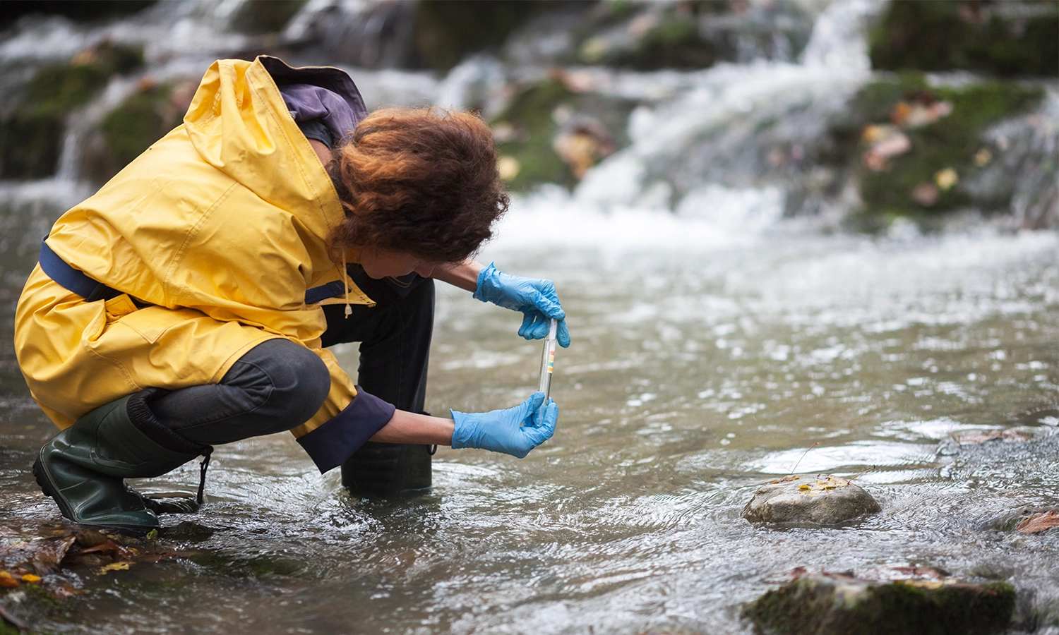 A Collaborative Approach to Water Quality Monitoring Lake Erie